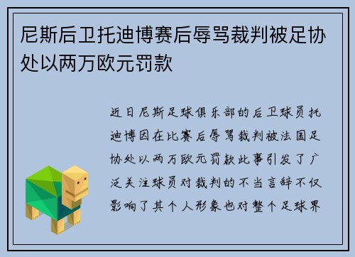 尼斯后卫托迪博赛后辱骂裁判被足协处以两万欧元罚款