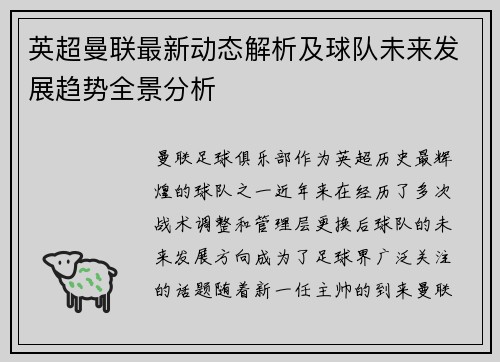 英超曼联最新动态解析及球队未来发展趋势全景分析 英超曼联最新动态解析及球队未来发展趋势全景分析
